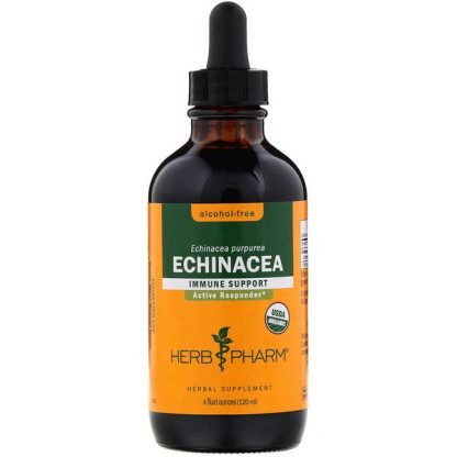 Herb Pharm, エキナセア、アルコールフリー、4液量オンス (120 ml)