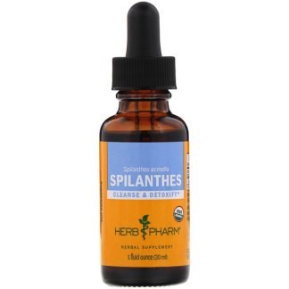 Herb Pharm, オランダセンニチ（Spilanthes）, 花まるごと, 1液量オンス（30 ml）
