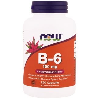 Now Foods, B-6、100mg、250カプセル