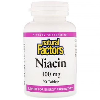 Natural Factors, ナイアシン, 100 mg, 90錠