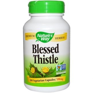 Nature's Way, ブレストシスル、390mg、植物性カプセル100粒