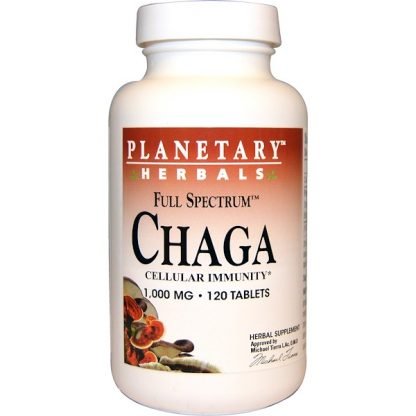 Planetary Herbals, フルスペクトラムチャーガ（Chaga）, 1,000 mg, 120錠