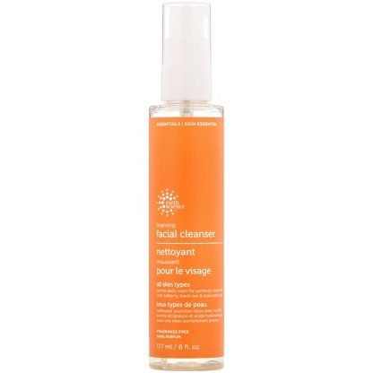 Earth Science, Foaming Facial Cleanser, 6 fl oz (177 ml)