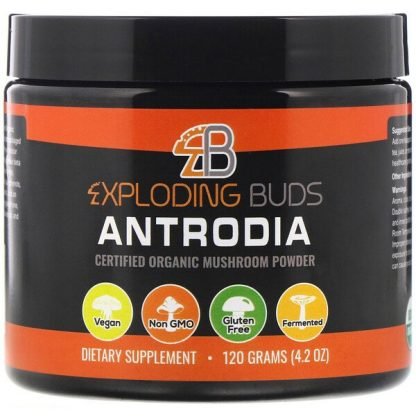 Exploding Buds, クスノキタケ、認定オーガニックキノコパウダー、120g（4.2oz）