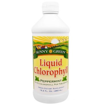 Sunny Green, 液体クロロフィル, ペパーミント味, 100 mg, 16.2液量オンス (480 ml)