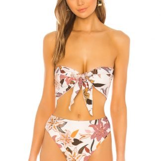 ANINIバンドゥ,StoneFoxSwim