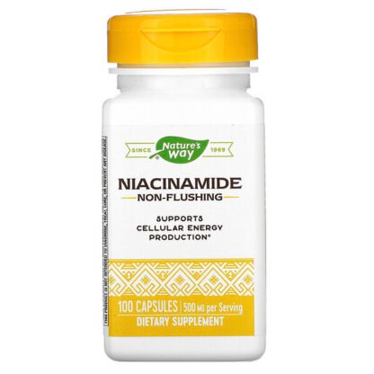 Nature's Way, ナイアシンアミド、500mg、100粒