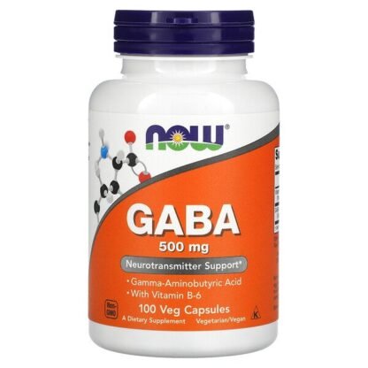 Now Foods, ガンマアミノ酪酸、500 mg、植物性カプセル 100粒